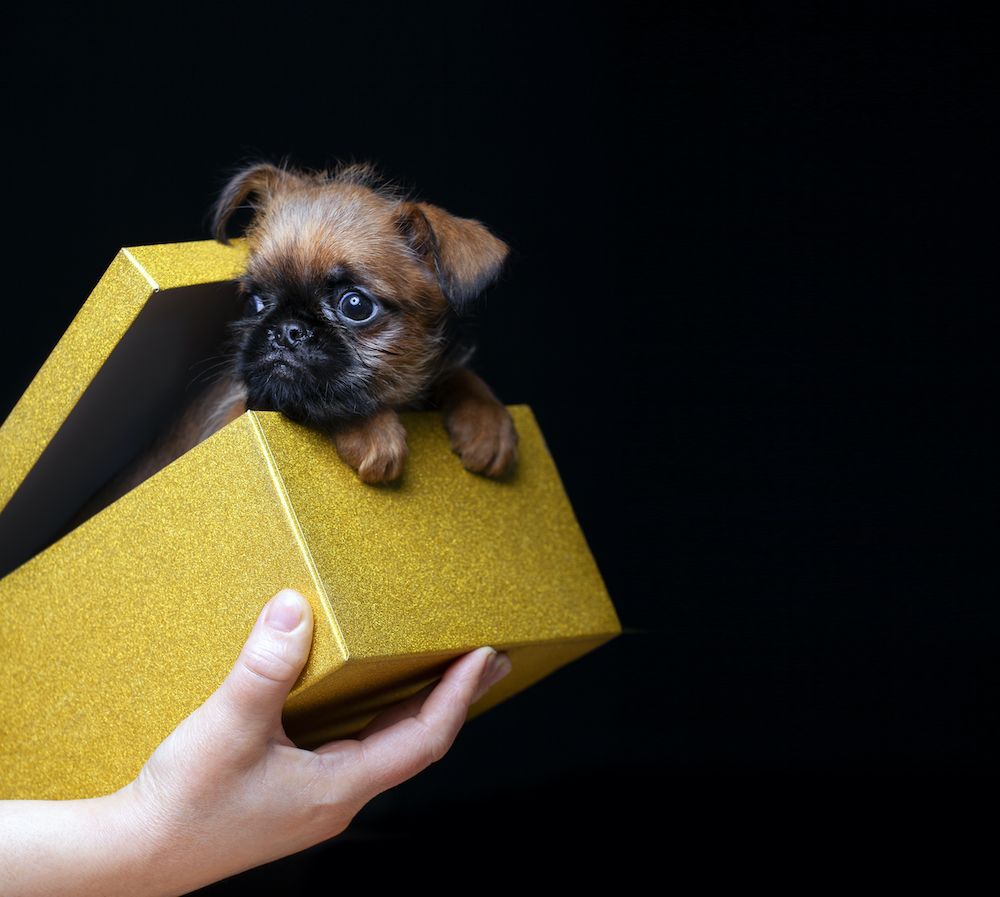 Think Outside the Box